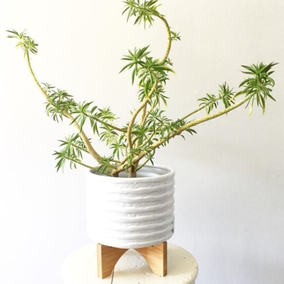 Hello! Nice to meet you! - Picture 2 of 7